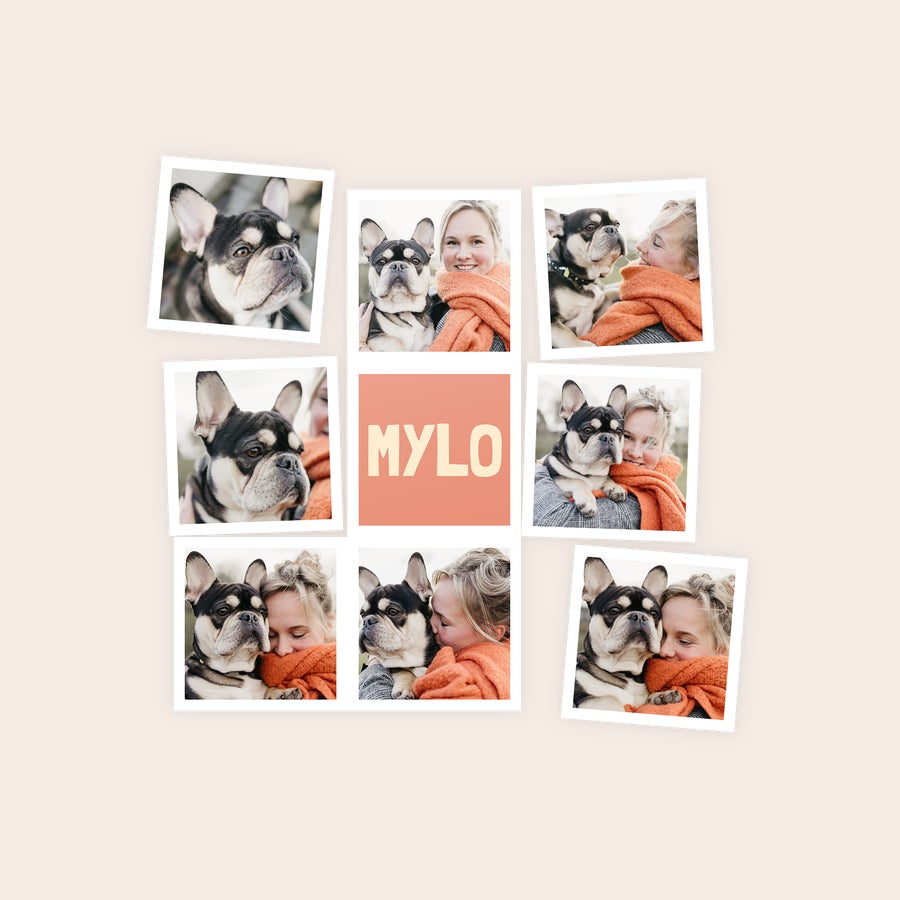 Feuille d'aimants Aimants personnalisés avec collage de photos imprimées dun chien et dune femme et le mot MYLO