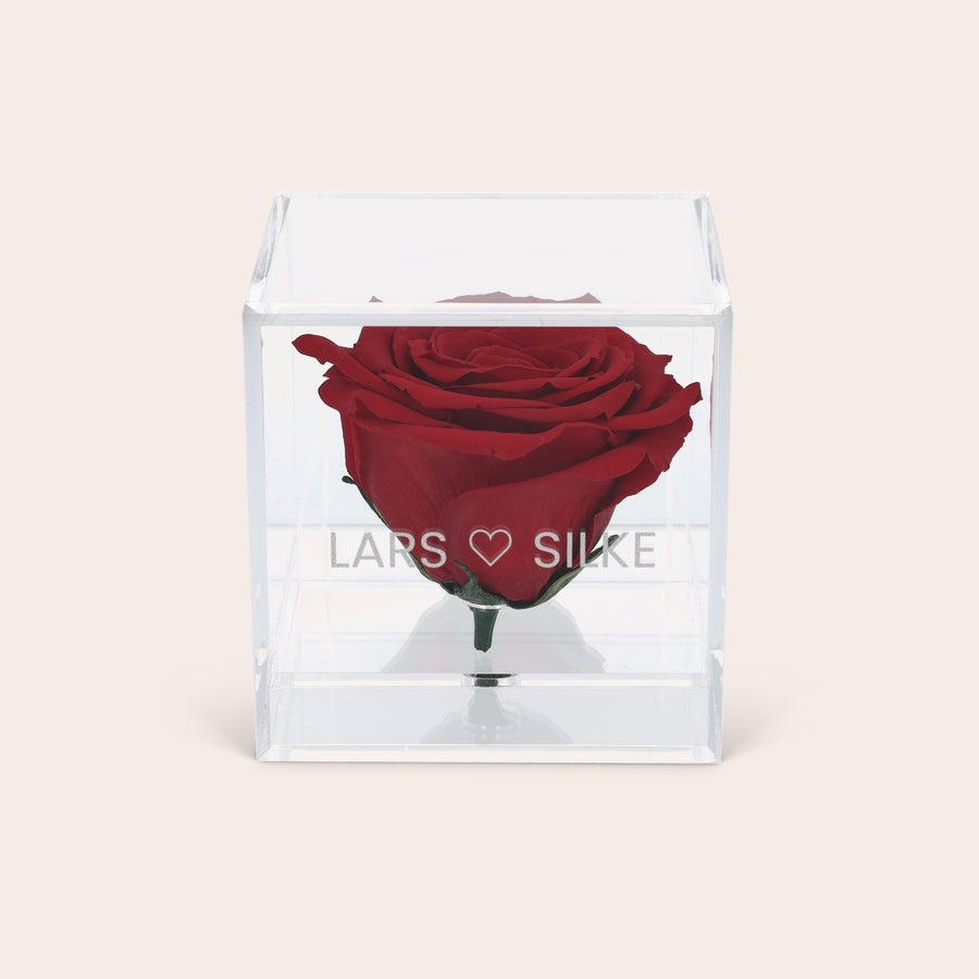 Preserved Rose im Plexi Glas mit Gravur Preserved Rose im Plexi Glas mit Gravur