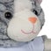 Peluche - Gattino
