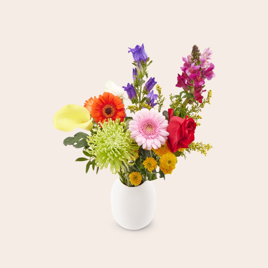 Blumen - Pflückblumen Bunt Ein bunter Strauß frischer Pflückblumen mit Gerbera, Rosen und weiteren Blumen, der mit einer persönlichen Geschenkkarte geliefert wird.