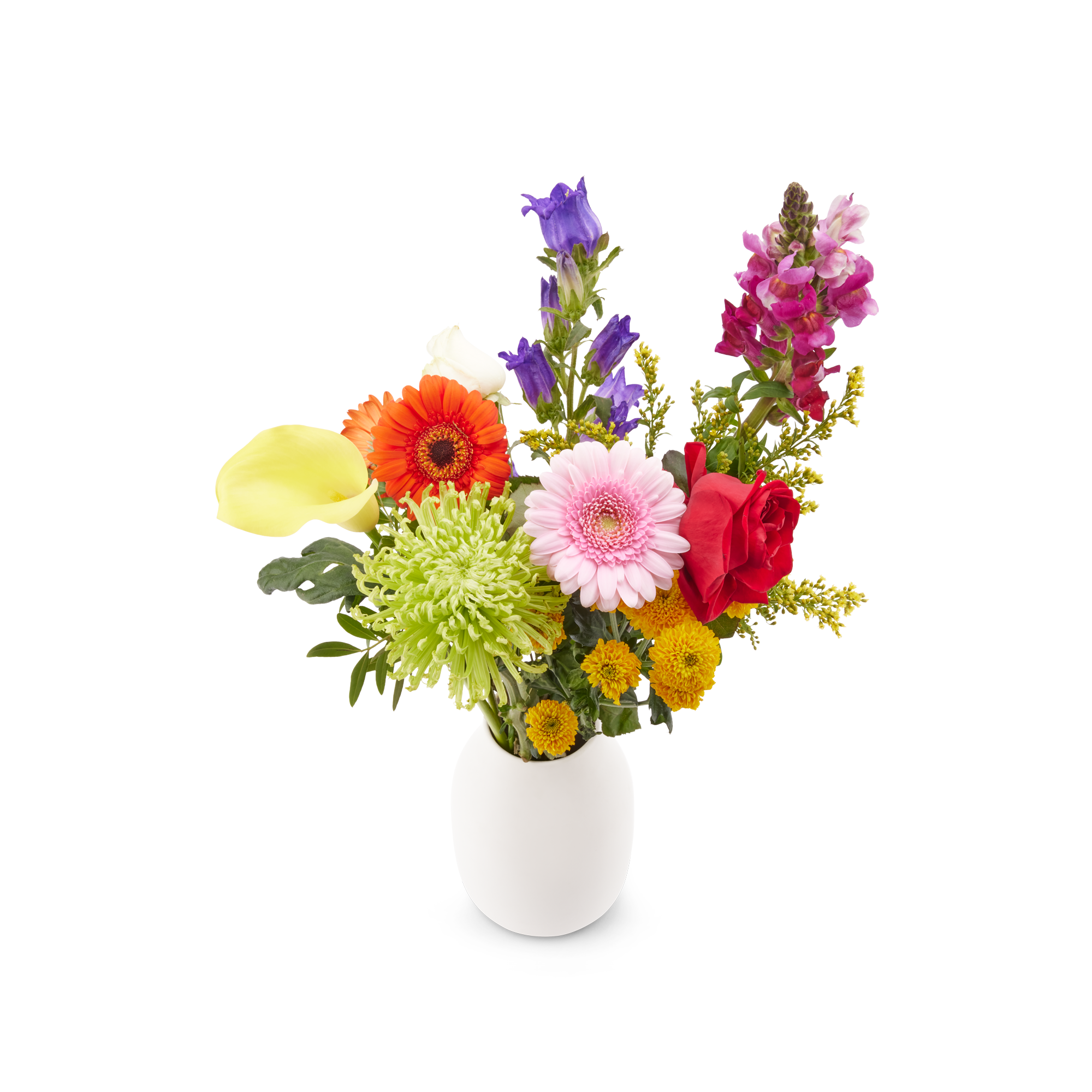 Fleurs - Bouquet de fleurs colorées