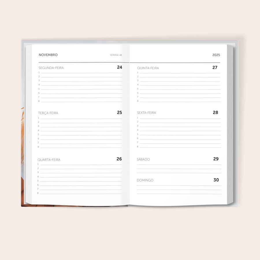 Agenda escolar 2025-2026 Diário escolar personalizado aberto mostrando datas de novembro de 2025 com design próprio