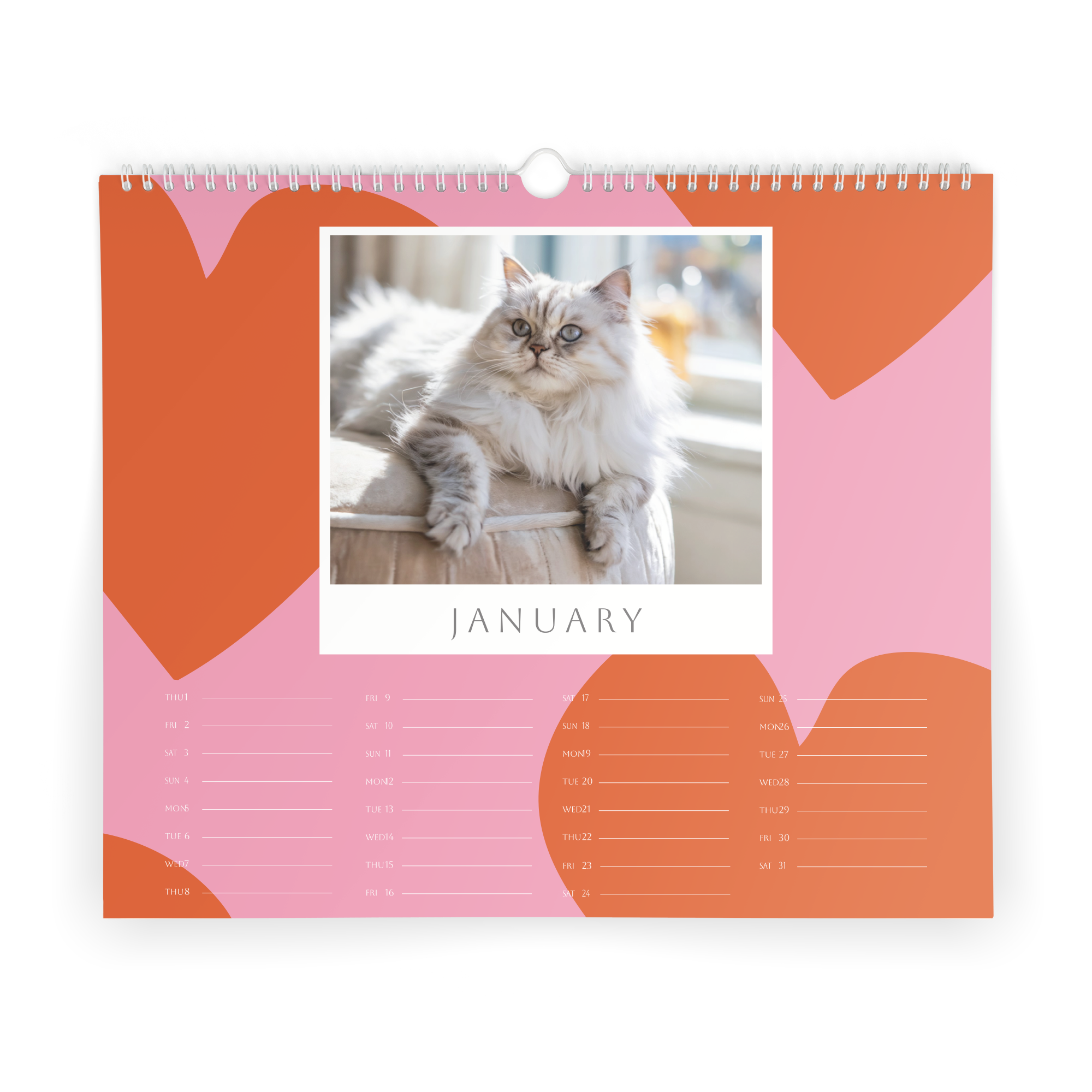 Personlig 2026 kalender med et trykt bilde av en katt og rosa og oransje detaljer