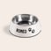 Dog feeding bowl Dog feeding bowl