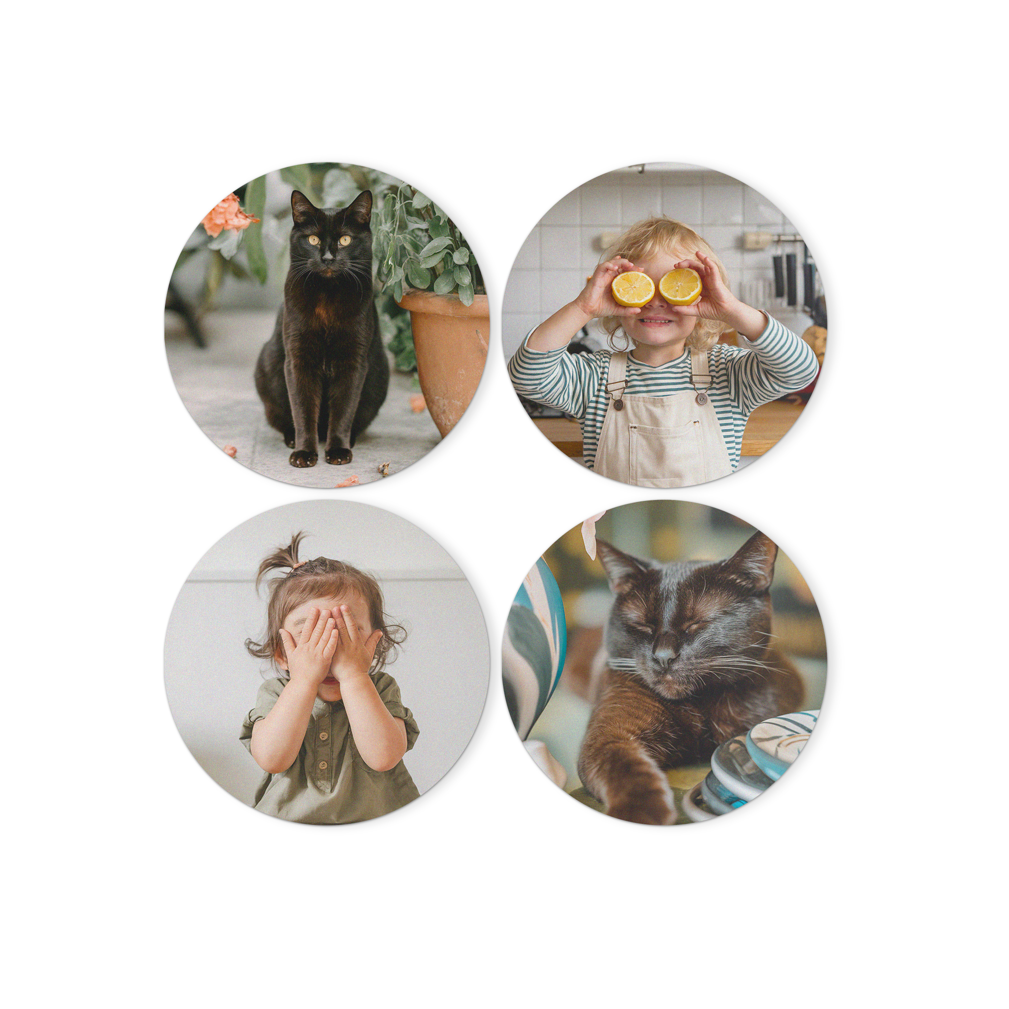Four round personalized forex wall art panels with custom photos of cats and children