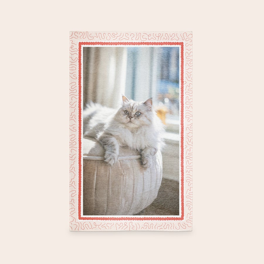 Tryckt matta Personlig matta tryckt med ett foto av en vit långhårig katt i en bädd, med en dekorativ ram. Förvandla ditt favoritminne till en mysig golvdetalj.