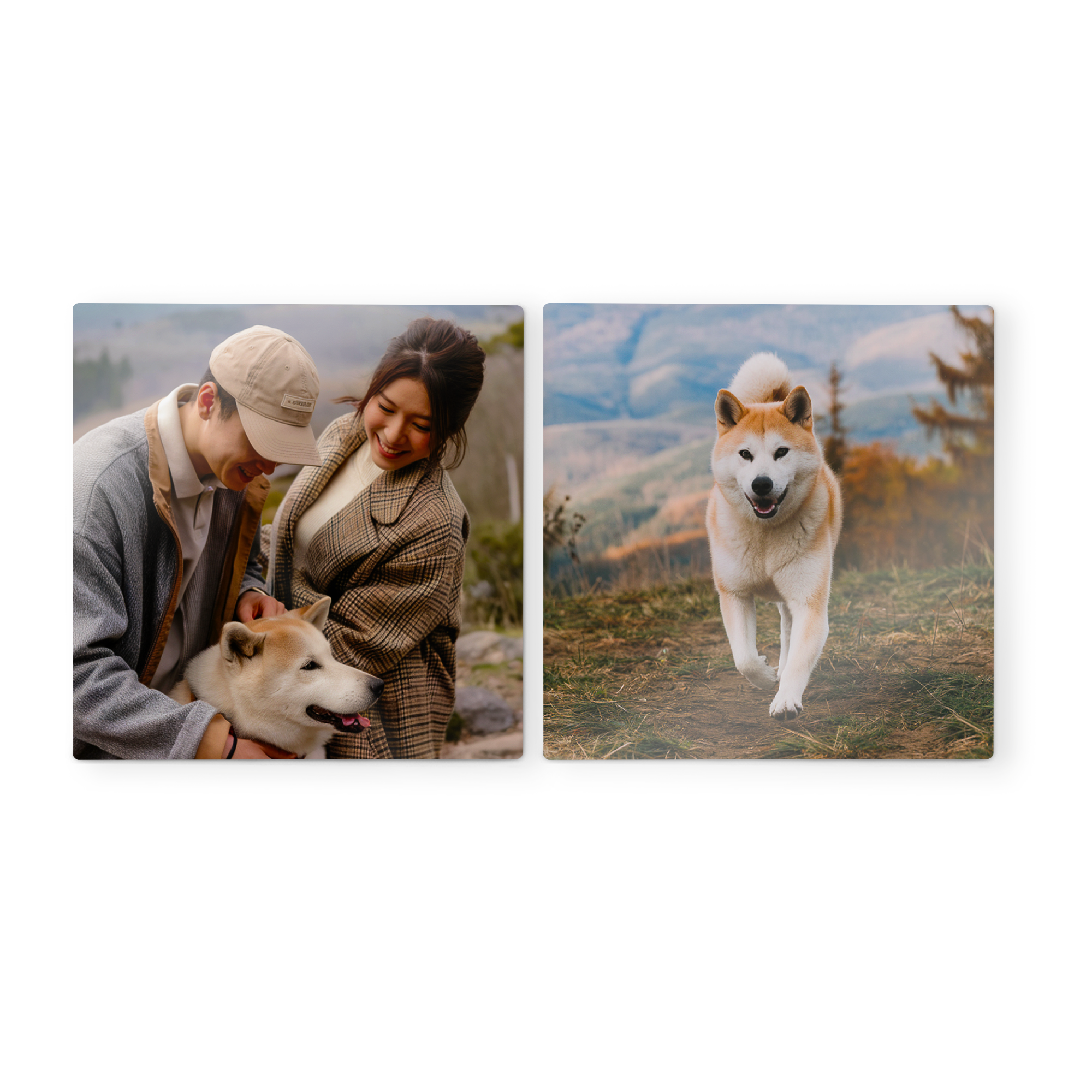 Väggpaneler med fototryck: par klappar hund, hund som springer. Dekorera din vägg med träväggkonstpaneler med din design.