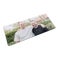 Personalised Mouse Mat – Rectangle - XXL