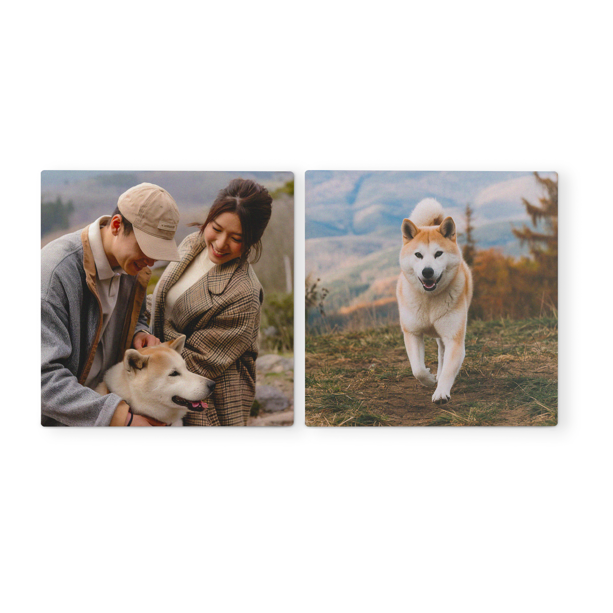 Zwei personalisierte Forex-Wandbilder mit einem lächelnden Paar und ihrem Hund sowie einem rennenden Hund