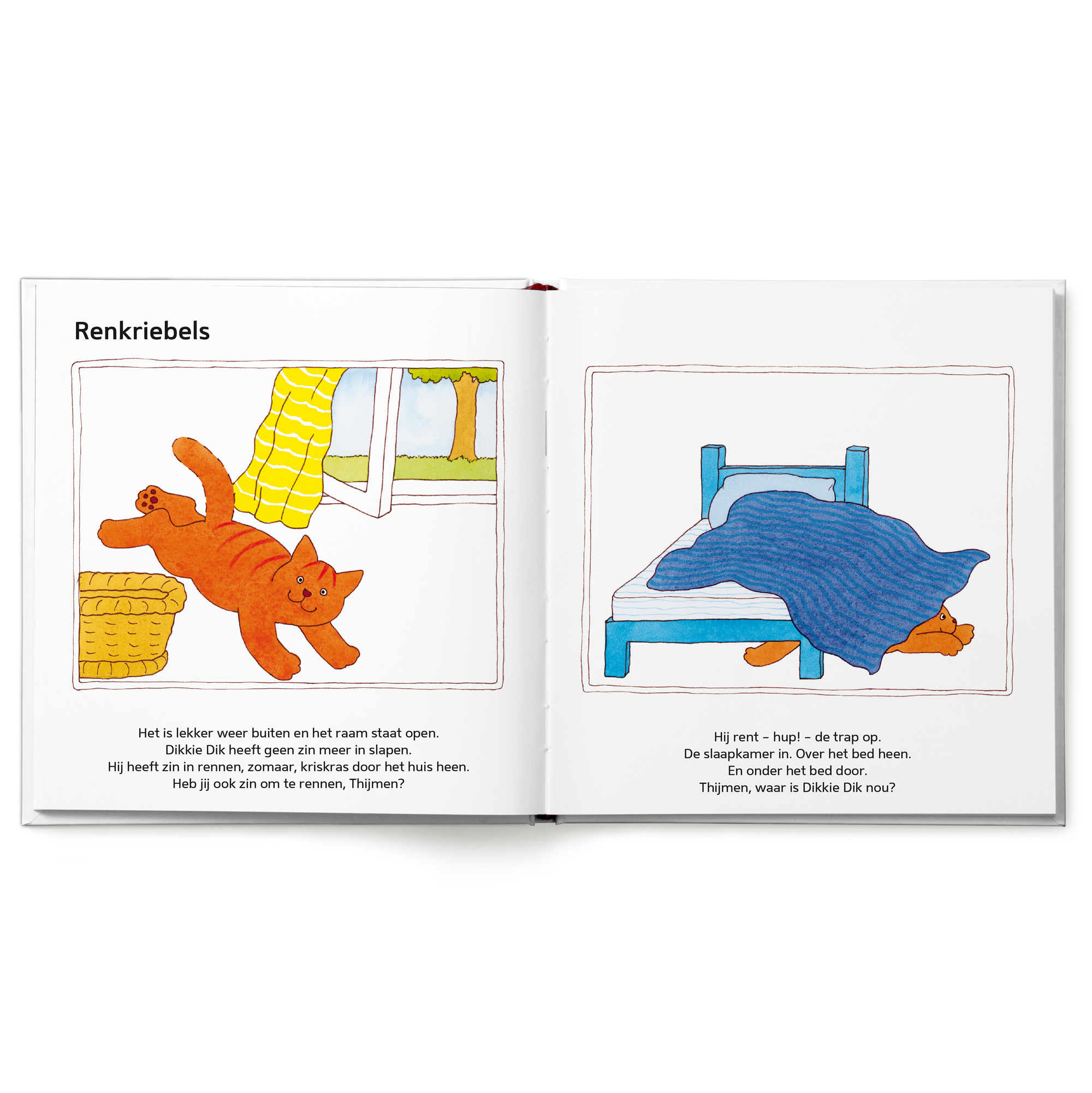 Geopend Dikkie Dik kinderboek voorjaar met naam Thijmen in de tekst, Dikkie Dik rent door het huis