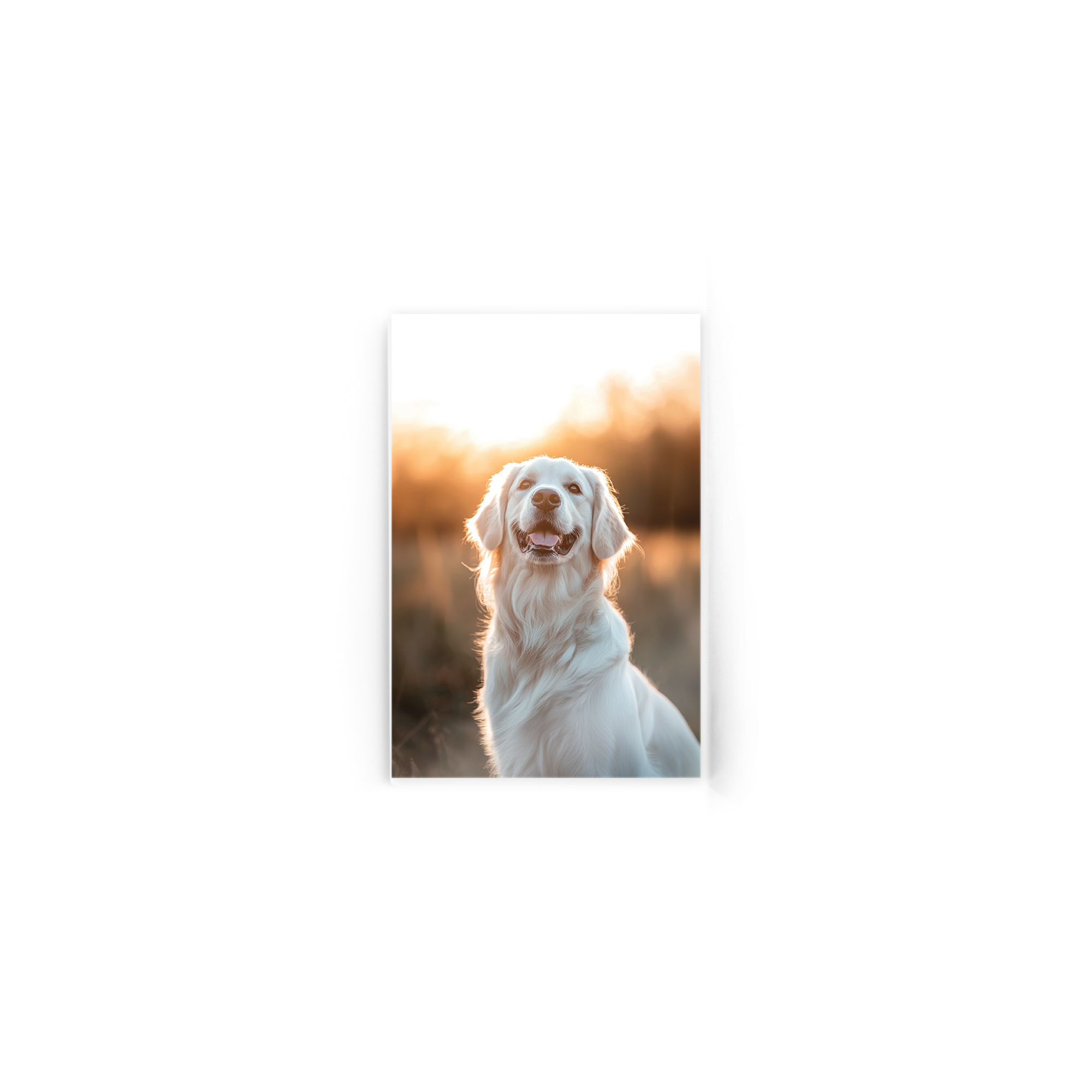 Fotografie pe acrilic