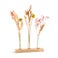 Posušeno cvetje s personaliziranim lesenim stojalom