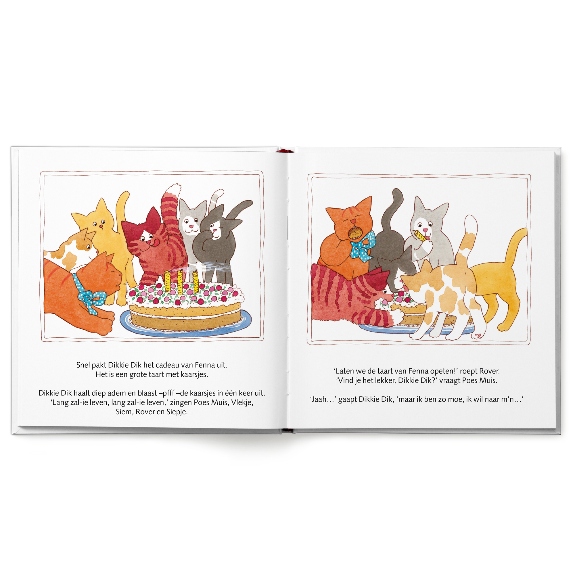 Boek "Dikkie Dik is jarig" met naam