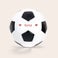 Ballon de foot personnalisé Ballon de foot personnalisé