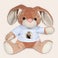 Kuscheltier Hase Personalisiert Kuscheltier Hase Personalisiert