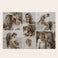 Puzzel met foto groot Puzzel met foto groot