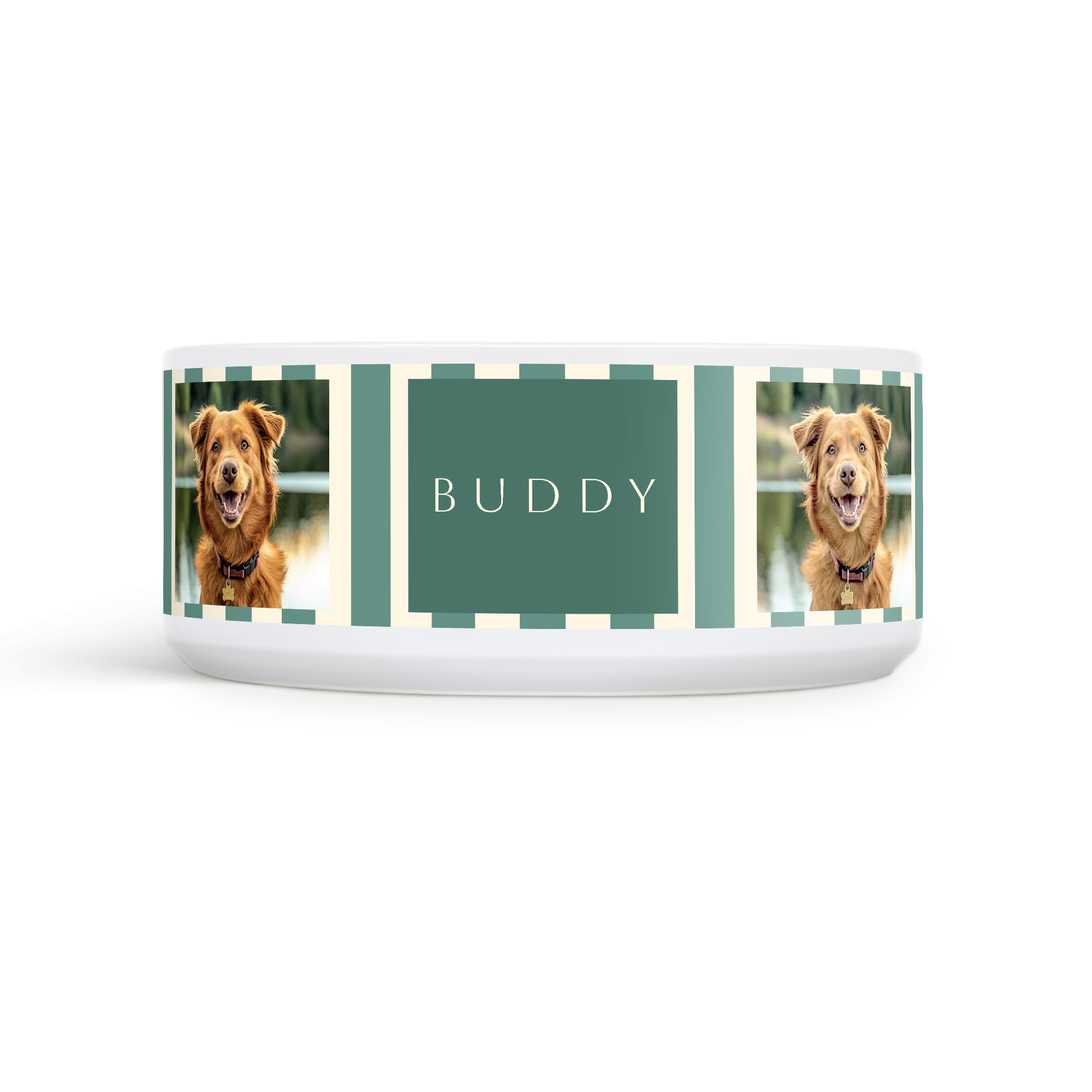 Ciotola in ceramica bianca per animali con foto stampata di un cane e nome "Buddy", rende speciale il momento del pasto