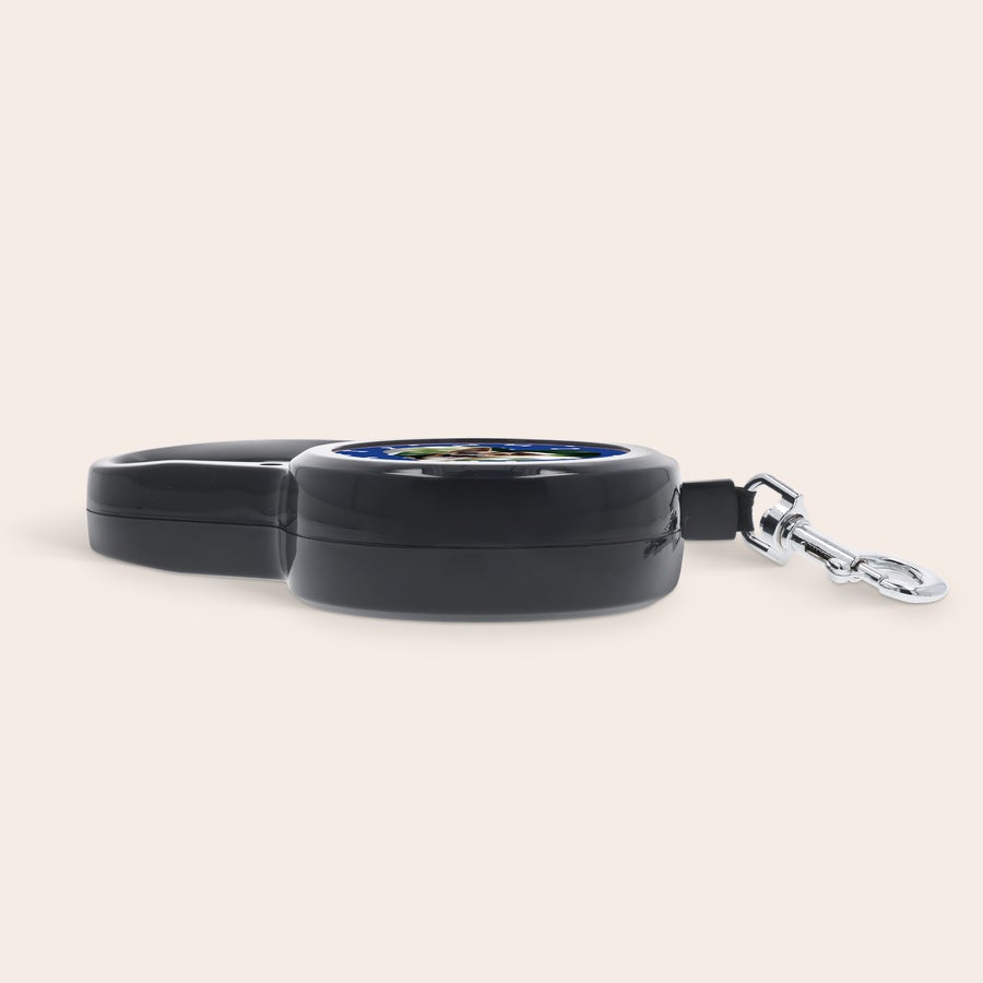 Personalised dog lead - 2m Personalised dog lead - 2m
