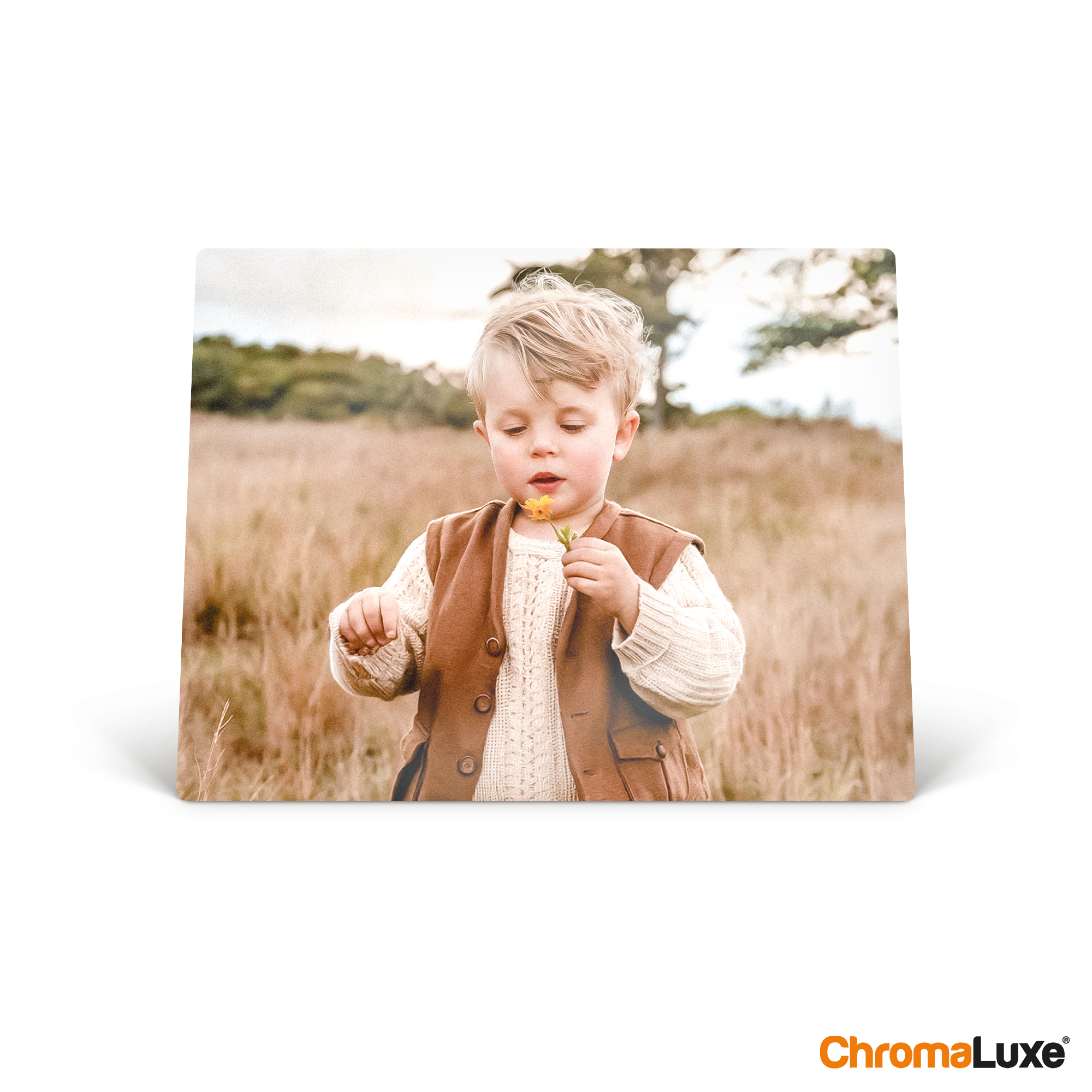 Gepersonaliseerde ChromaLuxe aluminium fotolijst met foto van een jongen in een veld, bedrukt met een eigen foto
