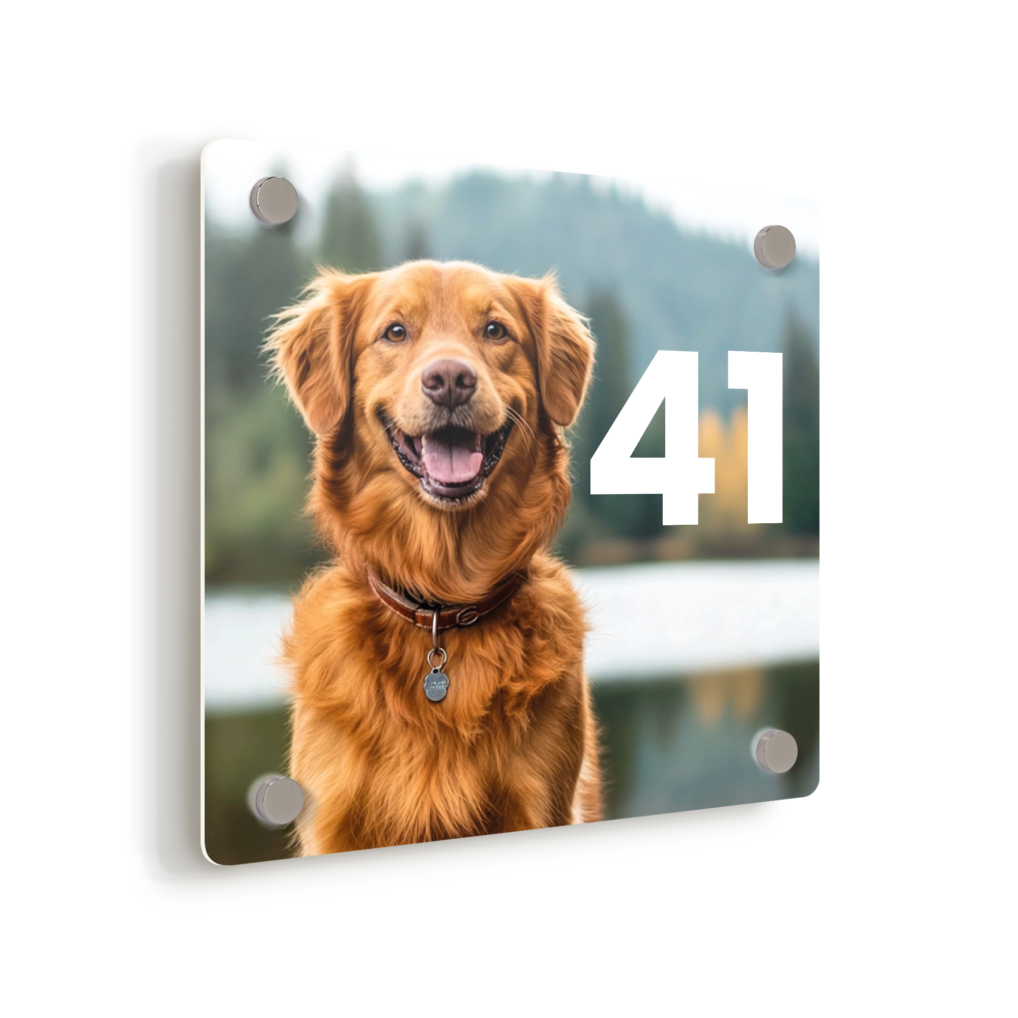 Home sweet home met een uniek aluminium huisnaambord met een gedrukte foto van een hond en huisnummer 41