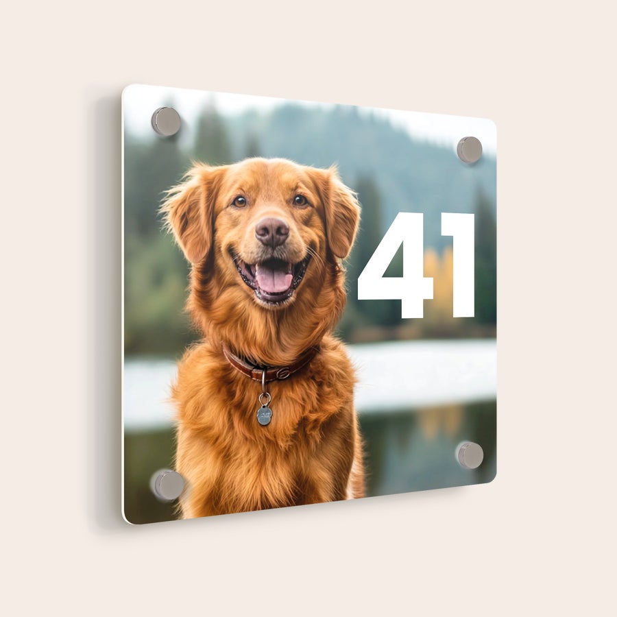 Letrero de casa personalizado Letrero personalizado para casa con una foto impresa de un perro sonriente y el número "41".
