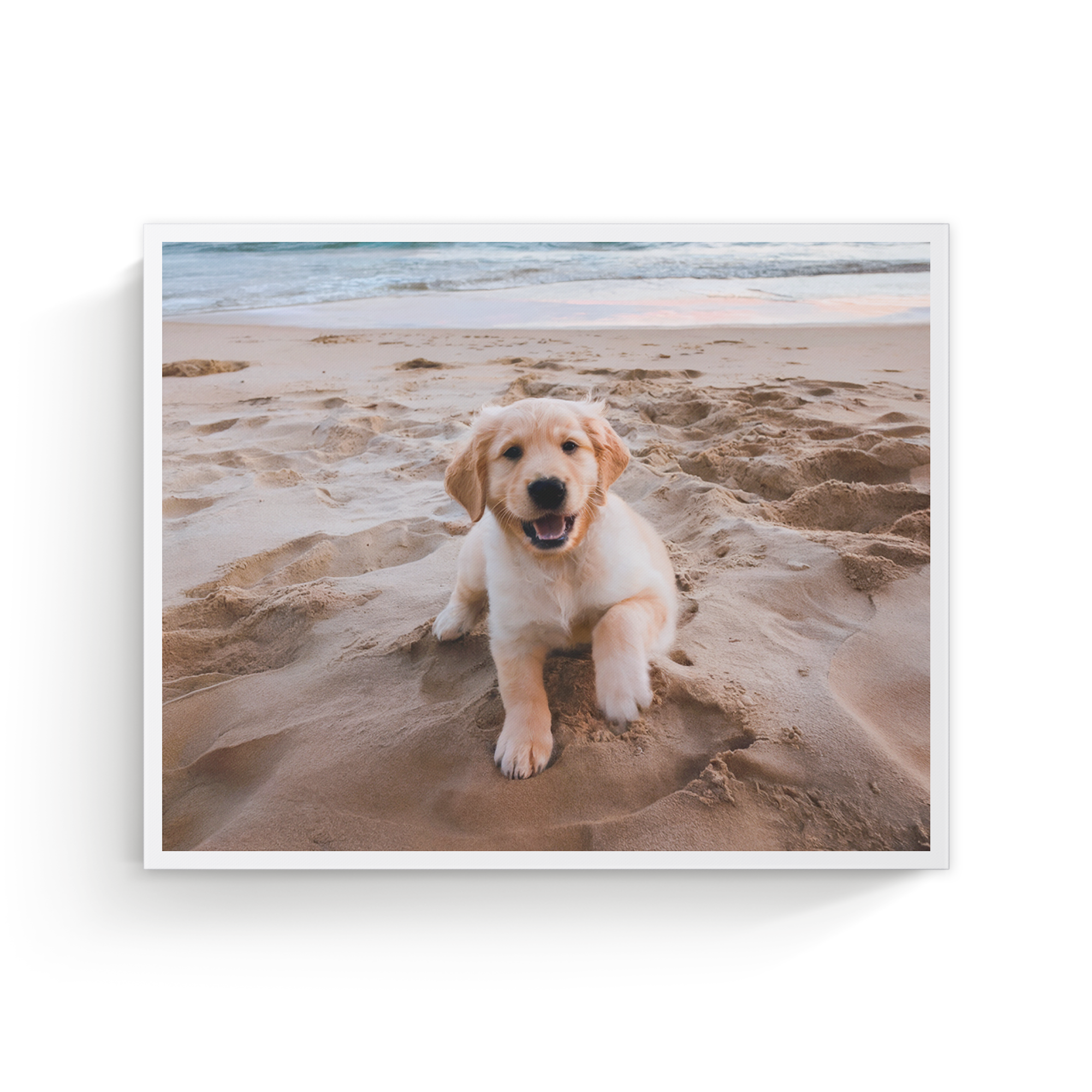 Personalized photo canvas printed with a golden retriever puppy on a beach