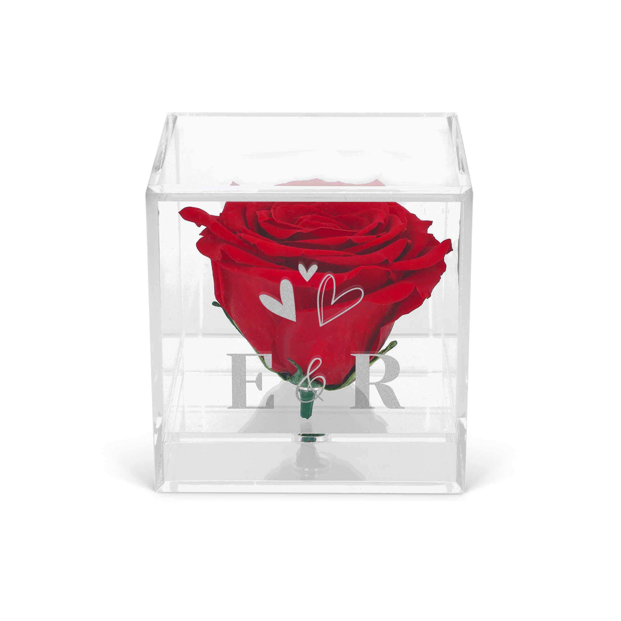 Evig röd ros i ett graverat plexiglasfodral med personliga initialer och hjärtan.