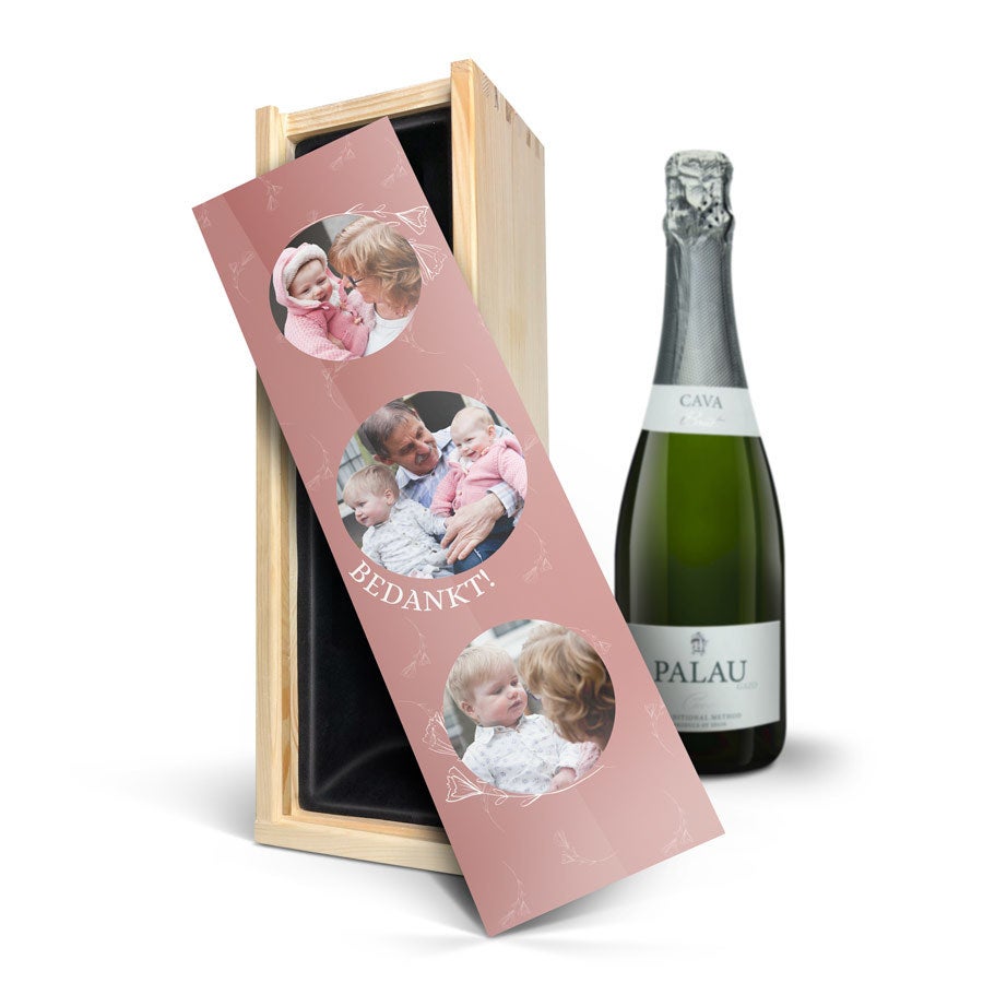 Cava Palau Gazo Brut Cava Palau Gazo Brut