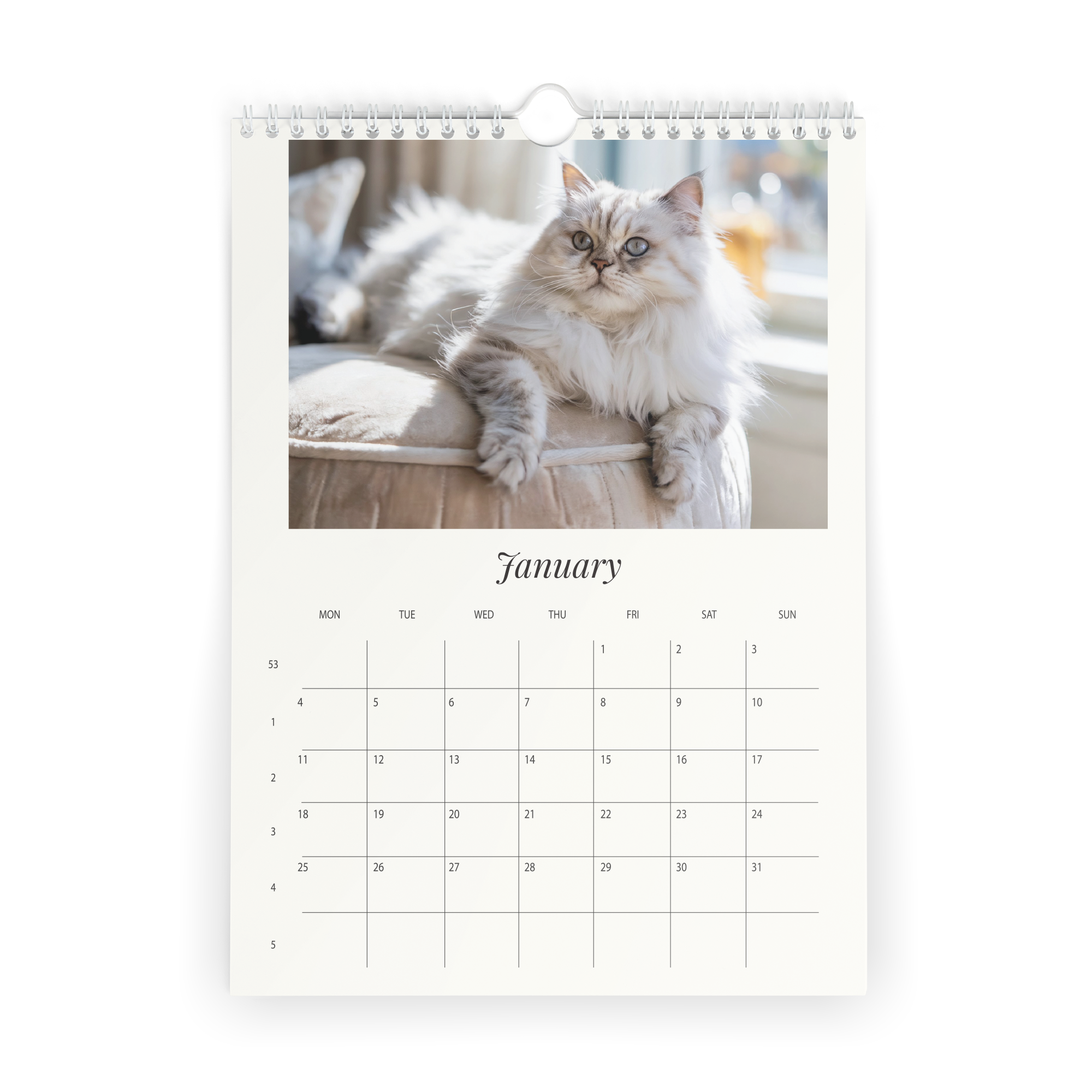 A customized Printed Calendar for 2026 - Vertical featuring a personal photo of a fluffy cat printed on the page
