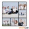 Tableau photo sur aluminium