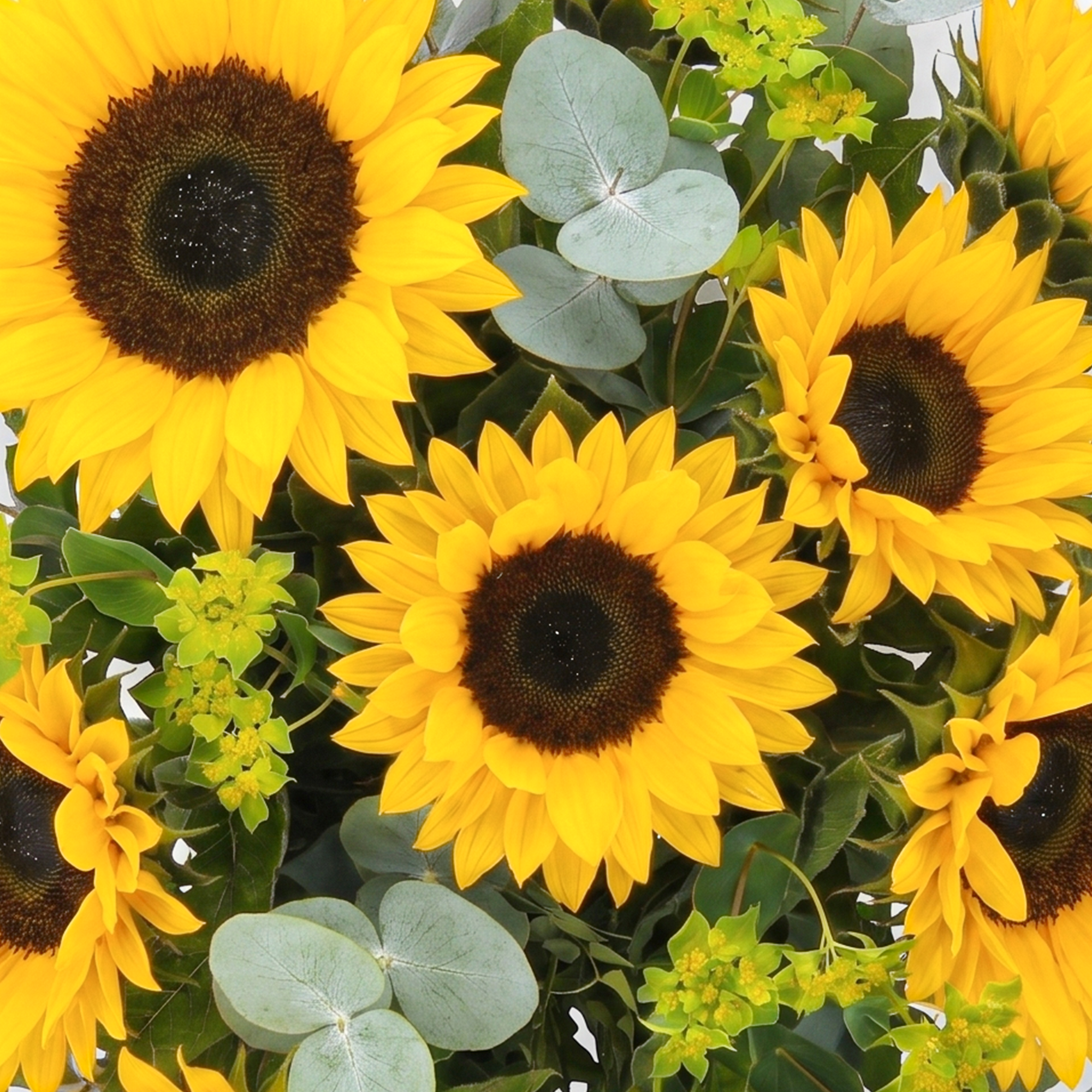 Boeket met heldergele bloemen, inclusief Bloemen – Pioenrozen (Middel) en zonnebloemen, perfect om te personaliseren