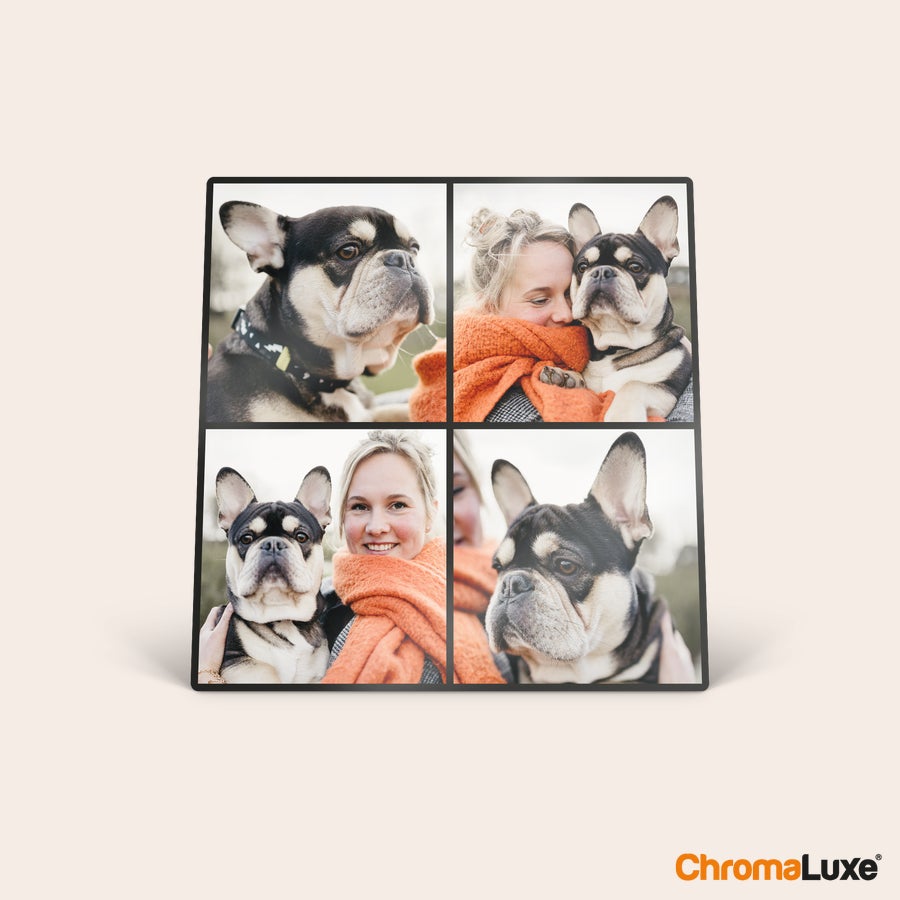 Aluminum photo frame ChromaLuxe aluminum photo frame printed with four personalized photos of a woman and her French bulldog