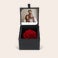 Longlife rozen box met foto afdruk Longlife rozen box met foto afdruk
