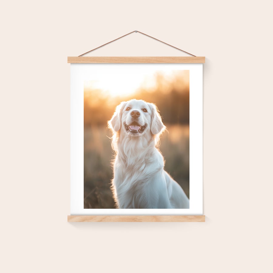 Fotoposter mit magnetischer Posterleiste Personalisierbares Fotoposter mit magnetischer Posterleiste, bedruckt mit einem lächelnden Golden Retriever vor Sonnenuntergang. Verewige deine schönsten Momenten mit einem Fotoposter mit magnetischer Posterleiste an der Wand!
