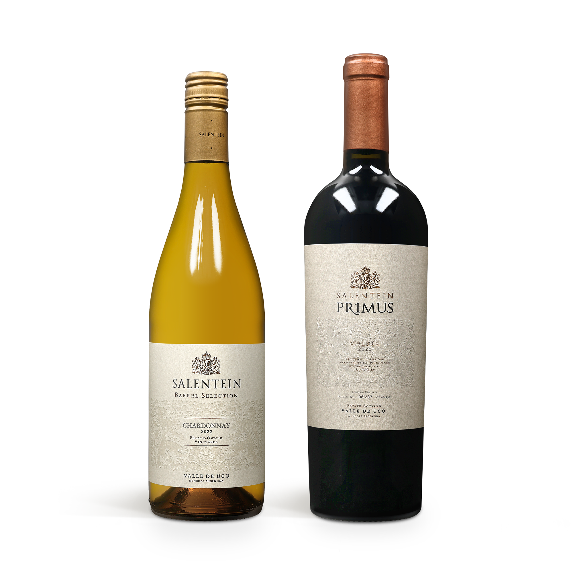 Duas garrafas de vinho Salentein, uma branca e uma tinto, para uma caixa de vinho gravada.