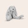 Rabbit Richie Bamse med navn - Kanin Rabbit Richie Bamse med navn - Kanin