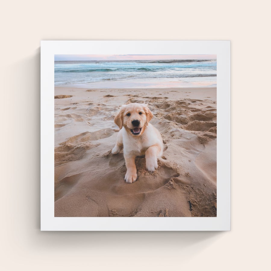 Photo sur toile Toile personnalisée imprimée avec un chiot golden retriever souriant sur une plage de sable fin