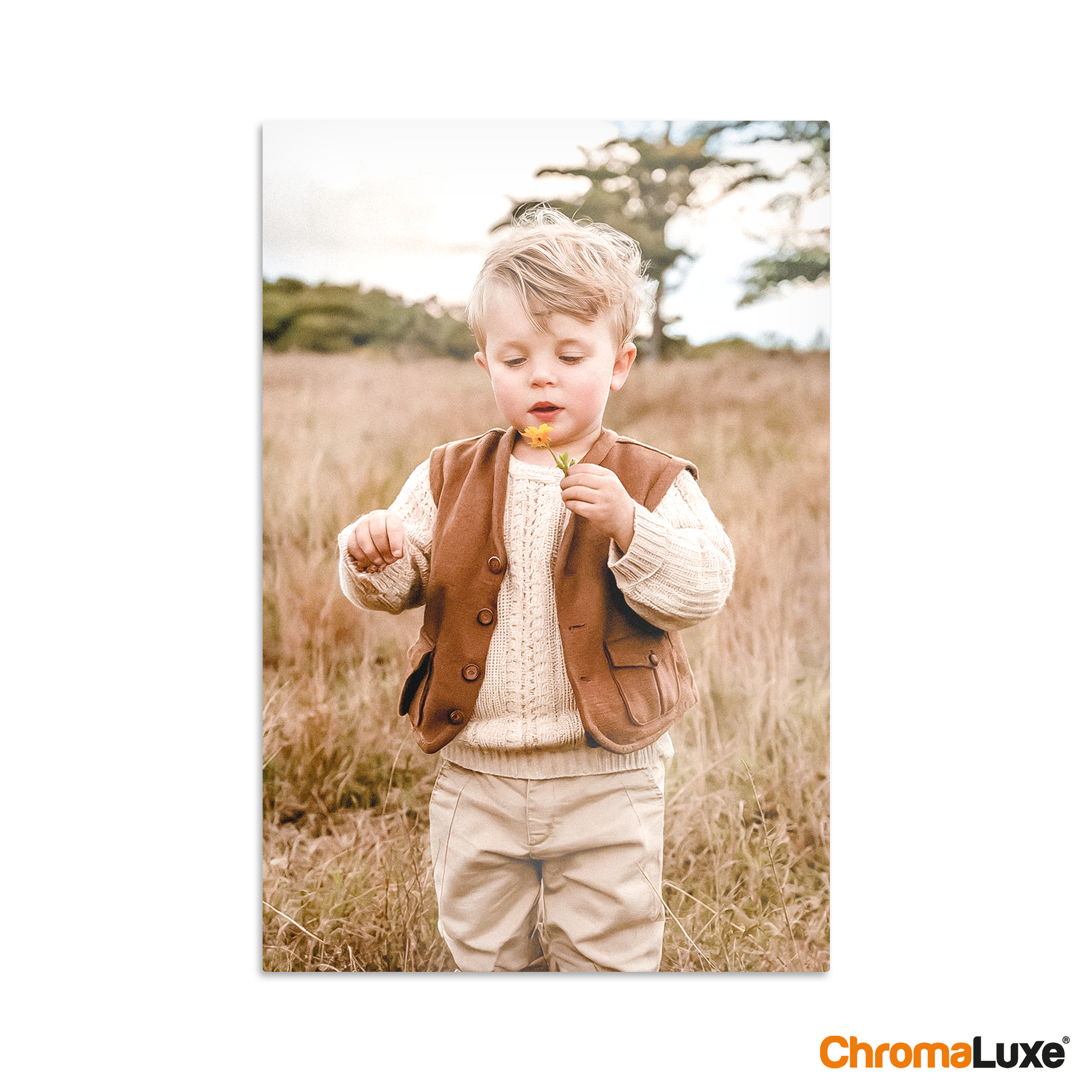 Personalized aluminium Instagram photo collage printed with a child holding a flower in a field
