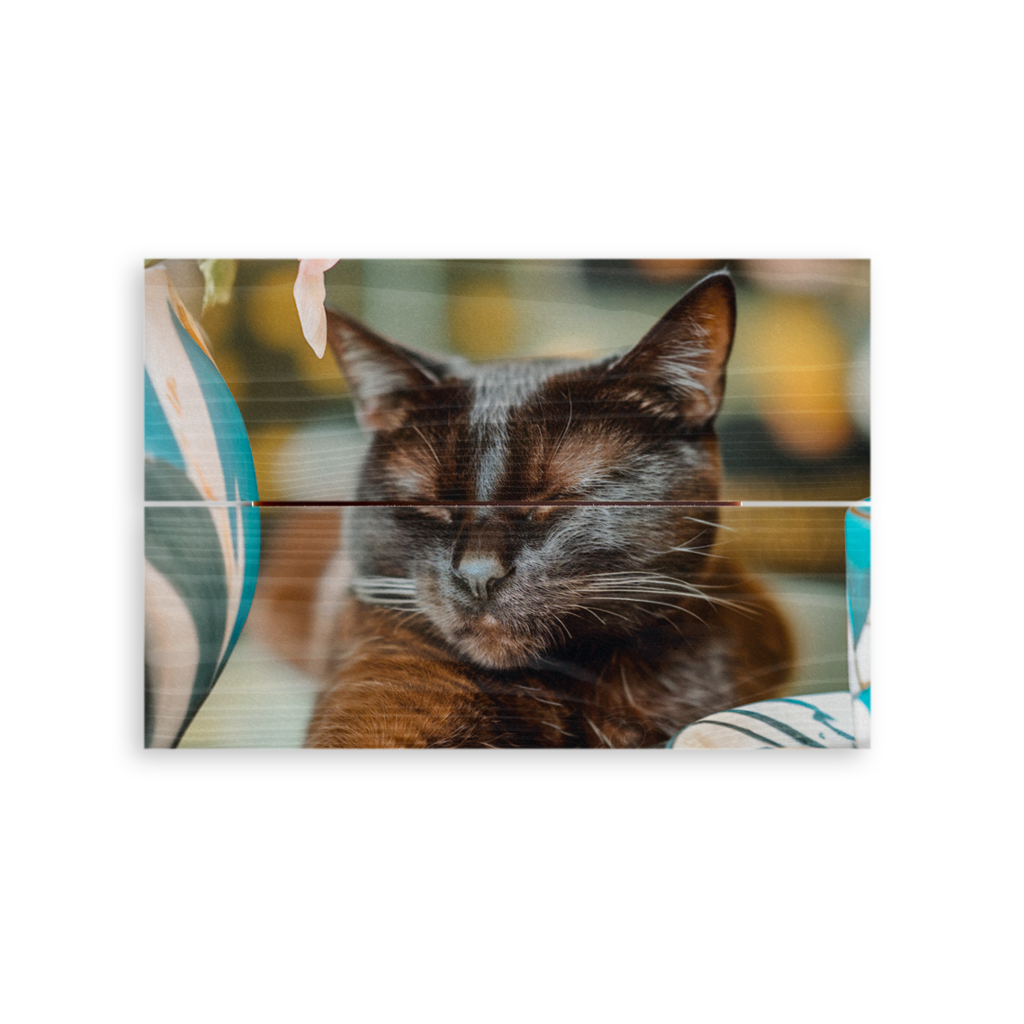 Imagen de gato negro durmiendo impreso en tablones de madera, con una foto personalizada.