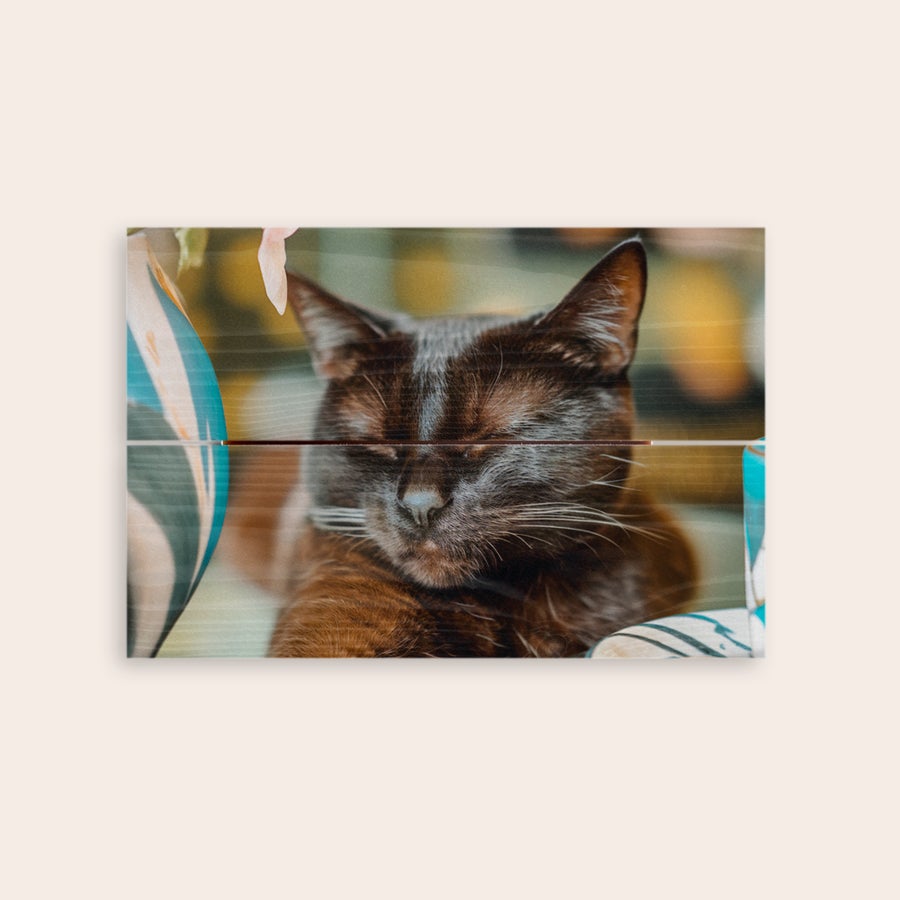 Foto en madera Imagen de gato negro durmiendo impreso en tablones de madera, con una foto personalizada.