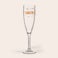 Flûte à champagne plastique personnalisé Flûte à champagne plastique personnalisé
