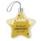 Weihnachtsschmuck - Stern (2 Stück)