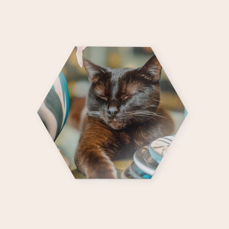 Placa de Parede Personalizada Painel hexagonal de arte de parede com foto de gato preto dormindo. Decore sua parede com um painel de arte de madeira com seu design
