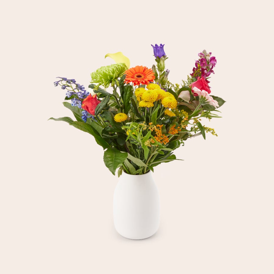 Blumen - Pflückblumen Bunt Ein bunter Strauß Pflückblumen mit Gerbera, Rosen und Chrysanthemen in einer weißen Vase, geliefert mit kostenloser Geschenkkarte