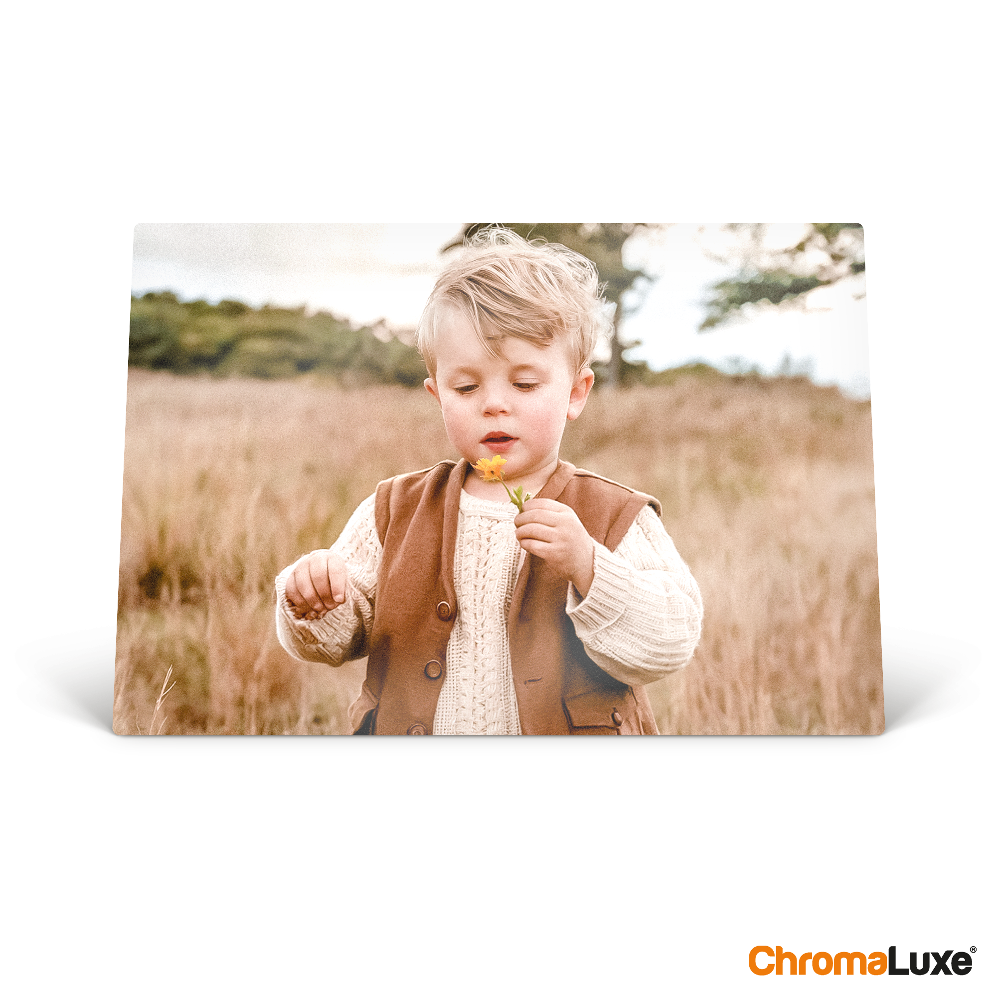 Cadre photo personnalisé ChromaLuxe avec impression d'un enfant aux cheveux blonds tenant une fleur jaune.