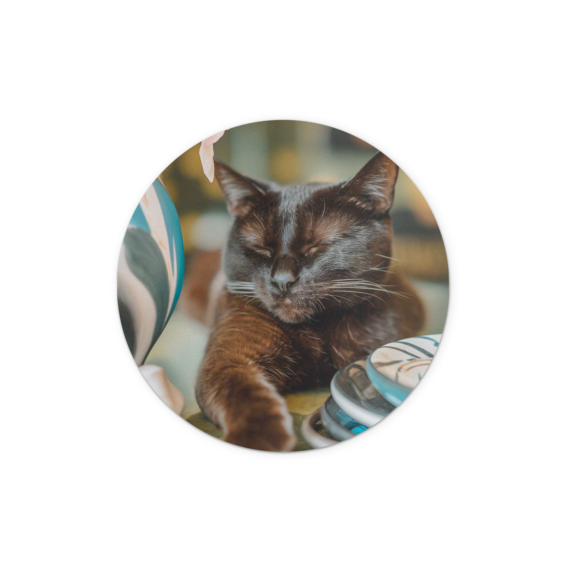 Rund väggkonstpanel i trä med ett sovande kattfoto, tryckt med egen design