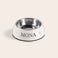 Cat feeding bowl Cat feeding bowl