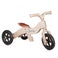 Tre tricycle