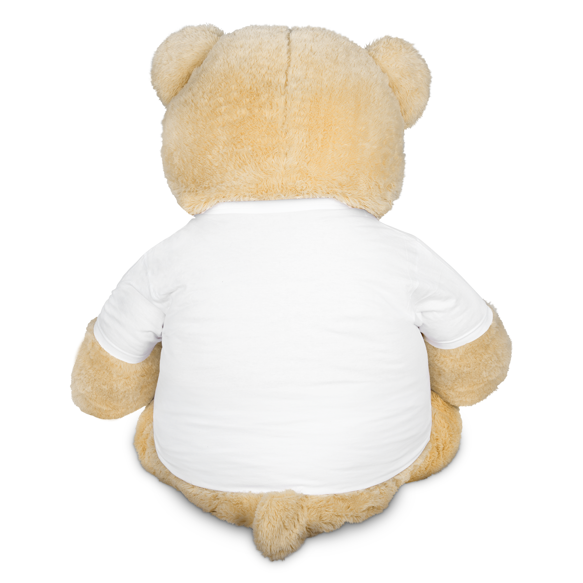 Teddybeer XXL met foto 