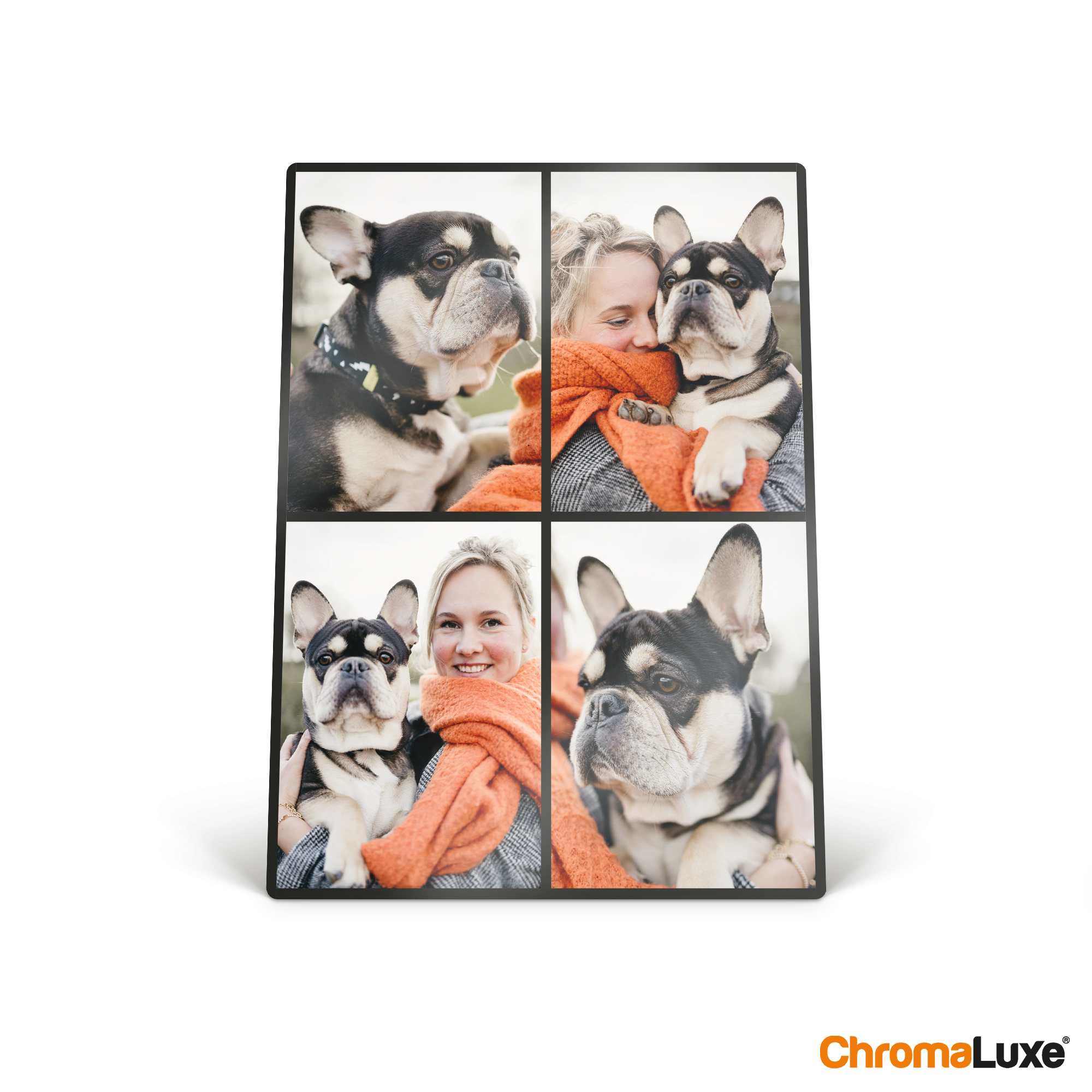 ChromaLuxe aluminum photo frame with four custom printed photos of a woman and her French bulldog